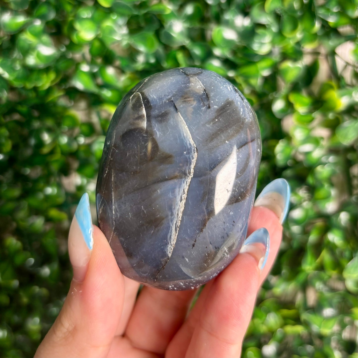 DENDRITIC AGATE PALMSTONES