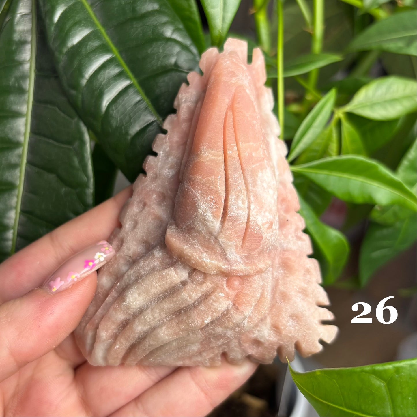 PINK OPAL SEA FRIENDS