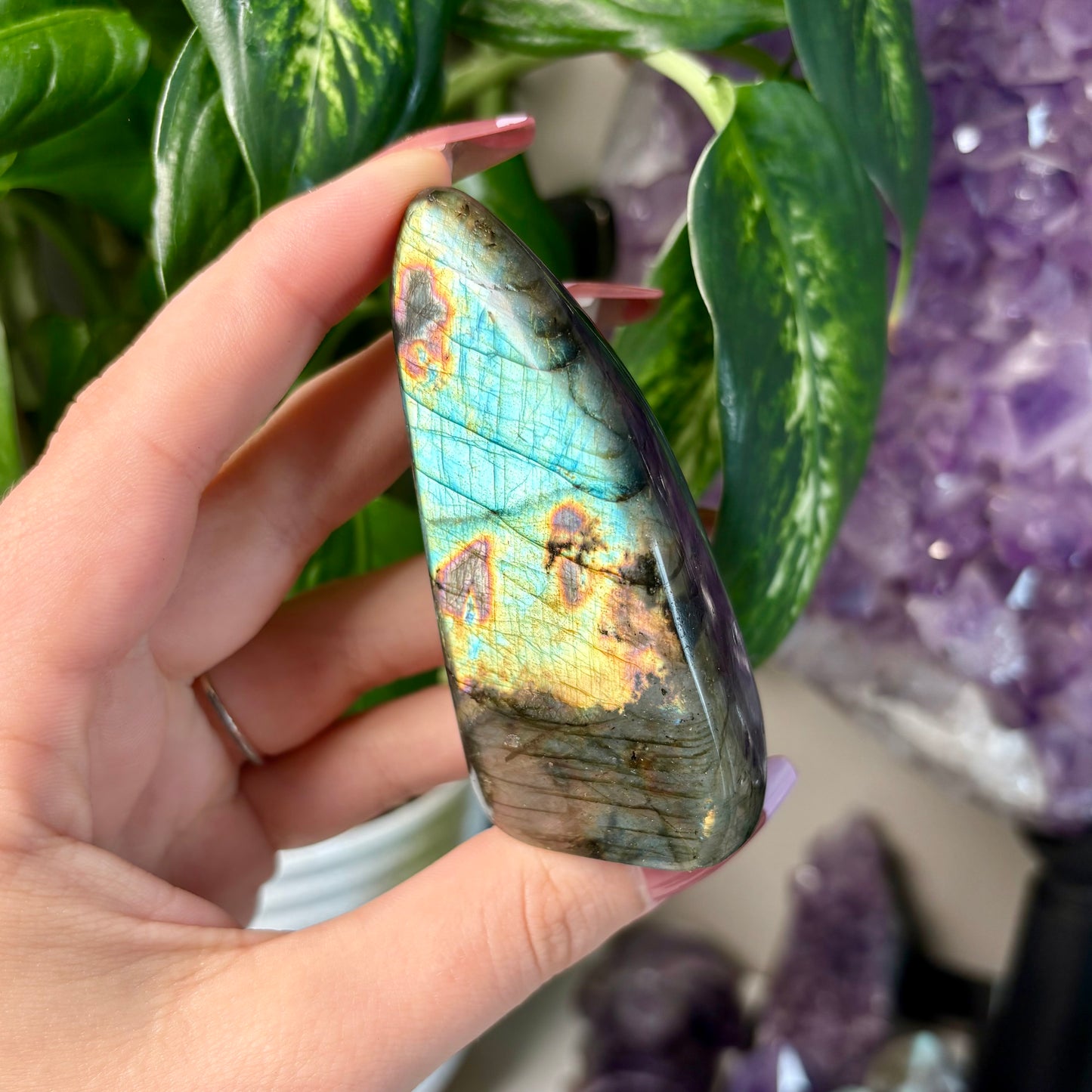 LABRADORITE FREEFORMS