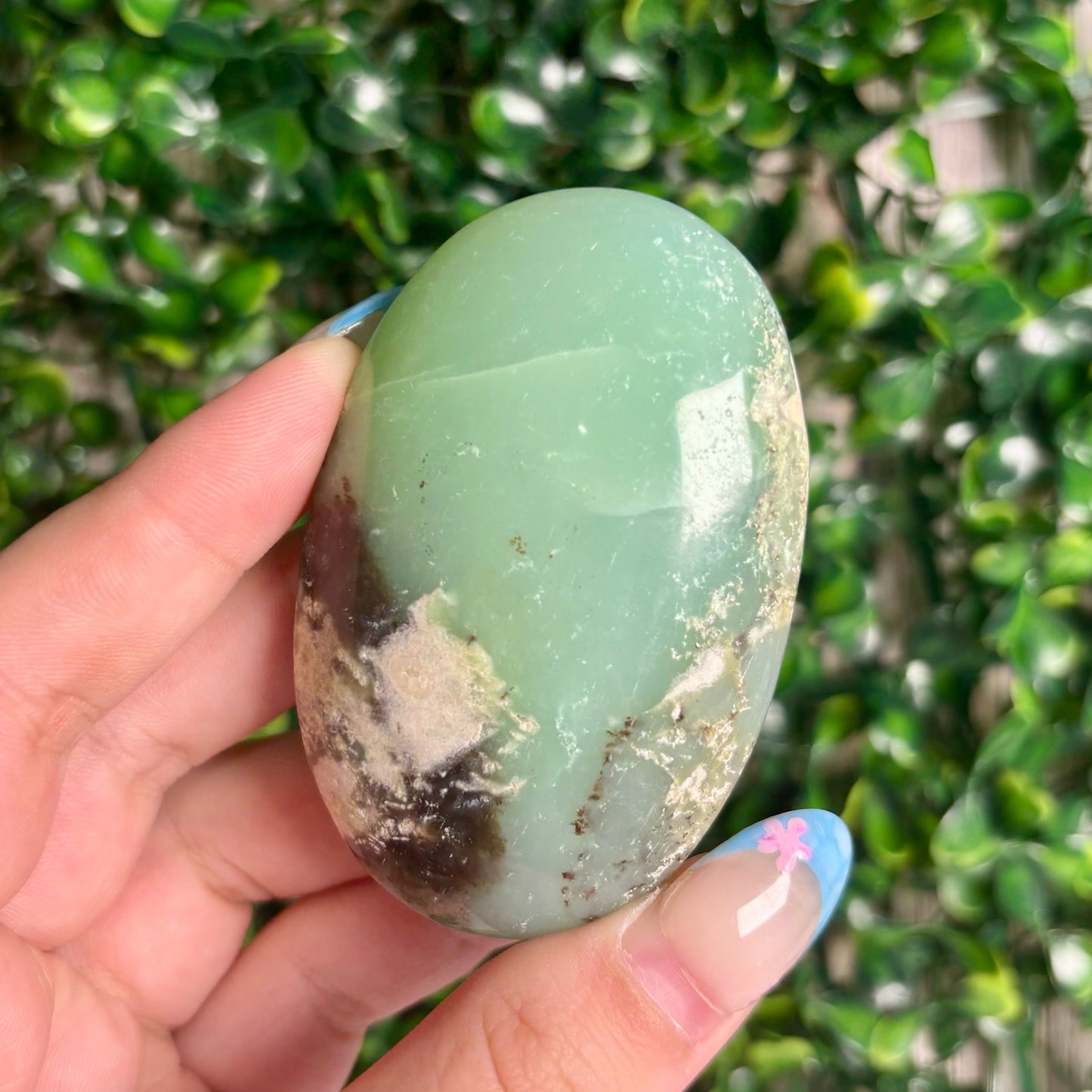 GREEN CHRYSOPASE PALMSTONES