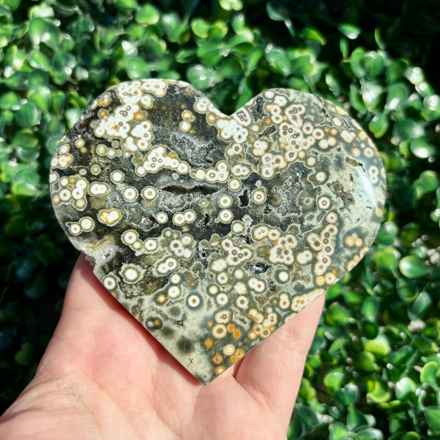 8TH VEIN OCEAN JASPER HEART