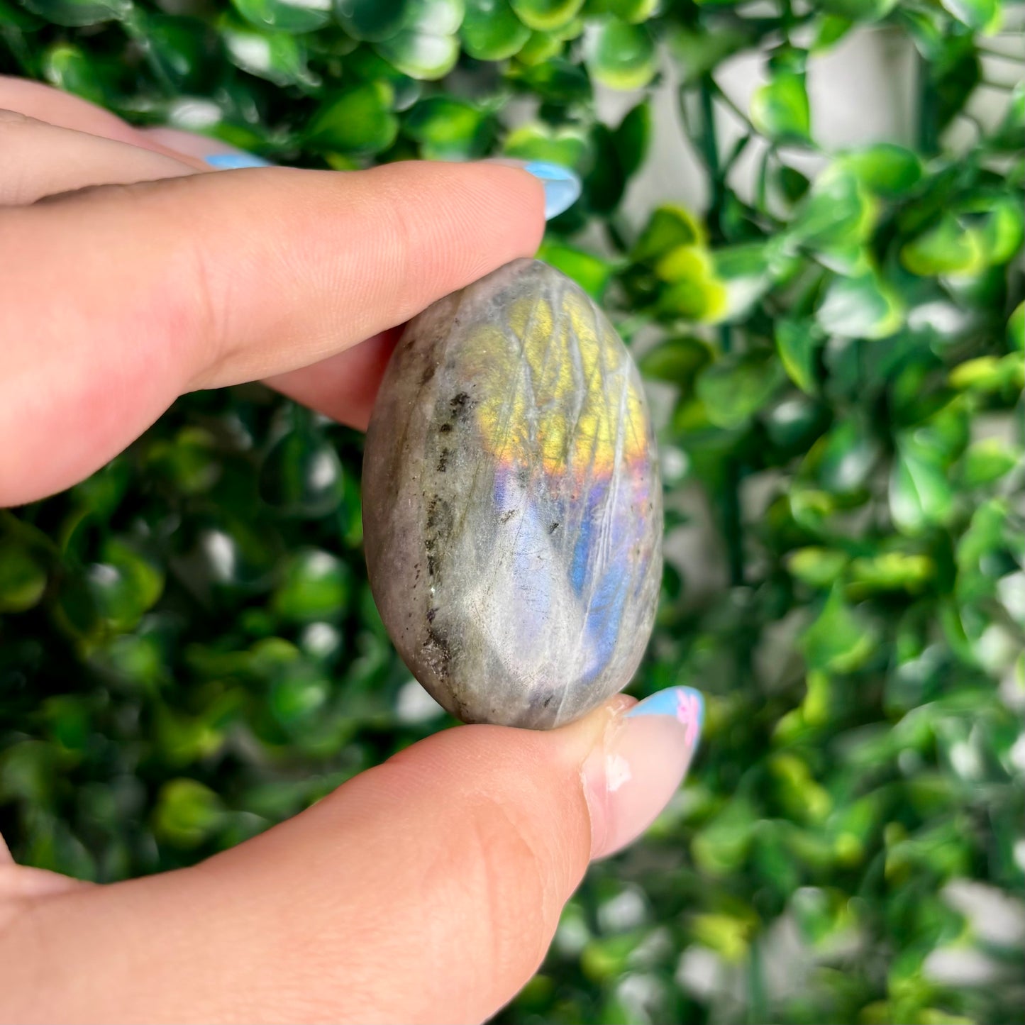 LABRADORITE PALMSTONES