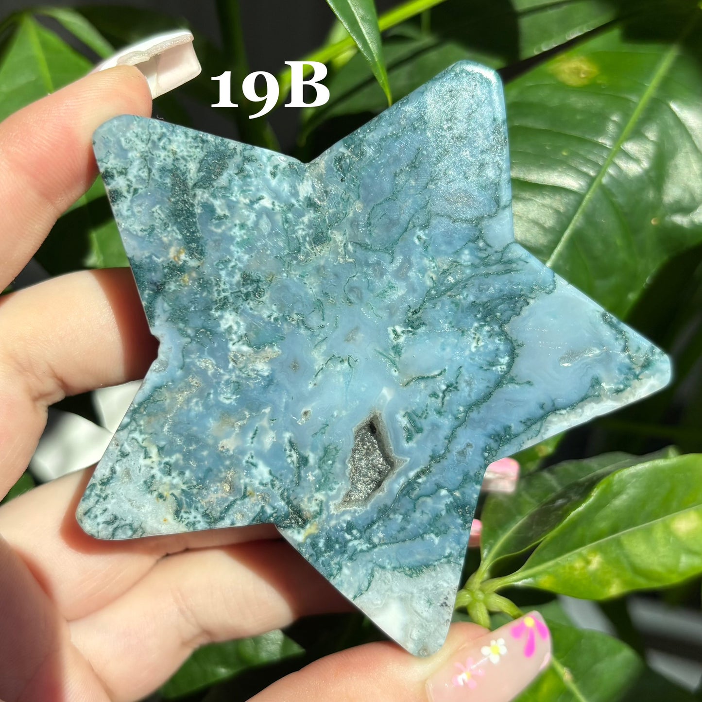 MOSS AGATE STARS