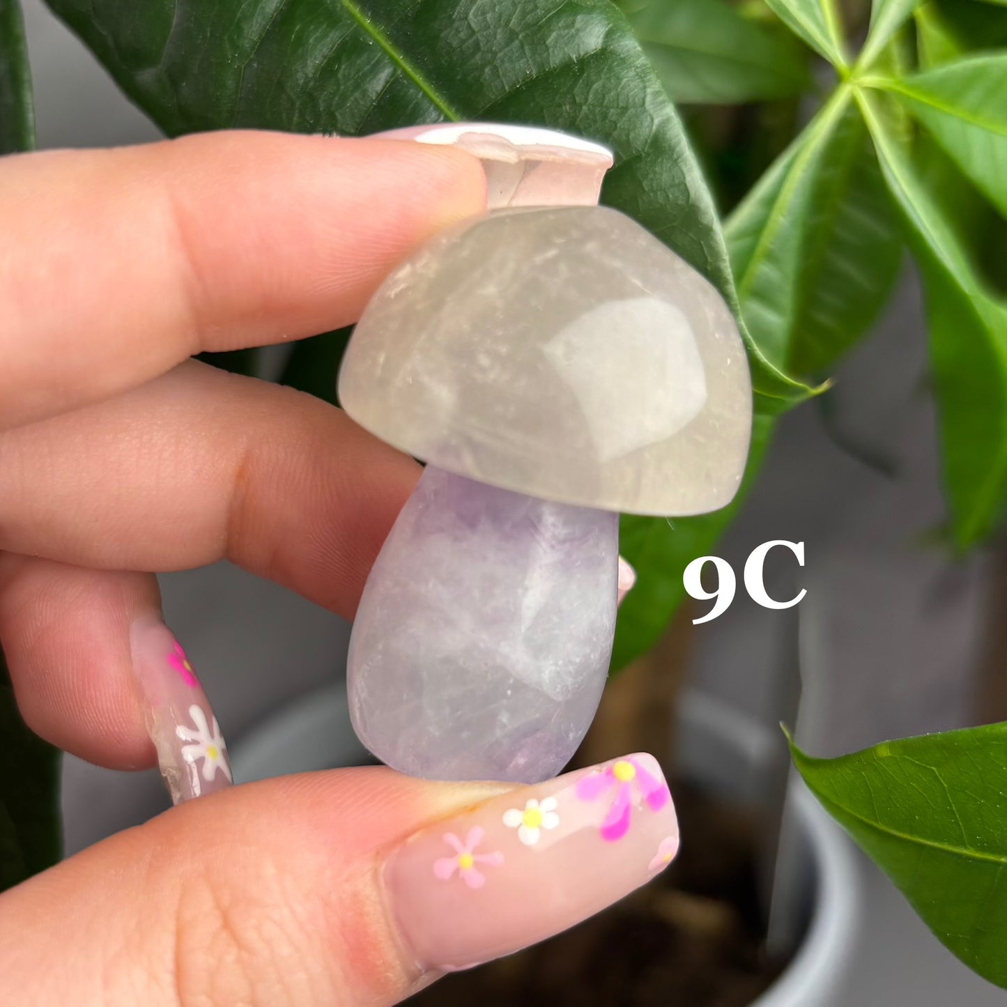 GREEN FLUORITE MUSHROOM