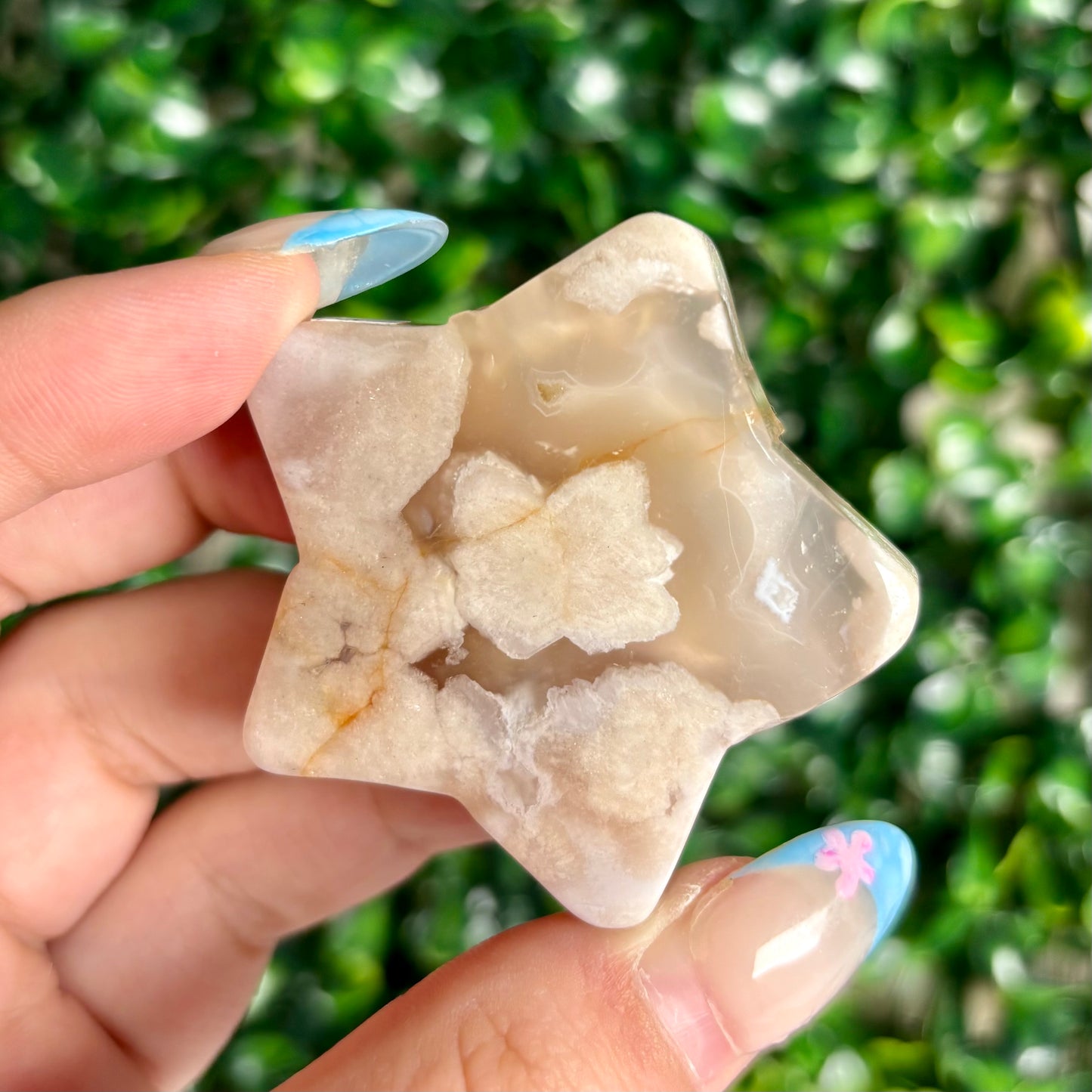 FLOWER AGATE STARS