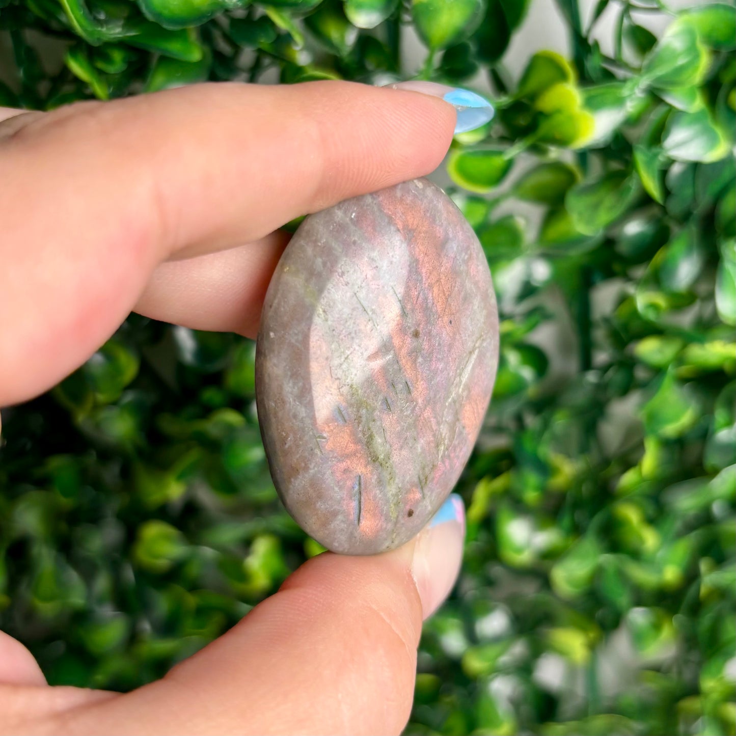 LABRADORITE PALMSTONES
