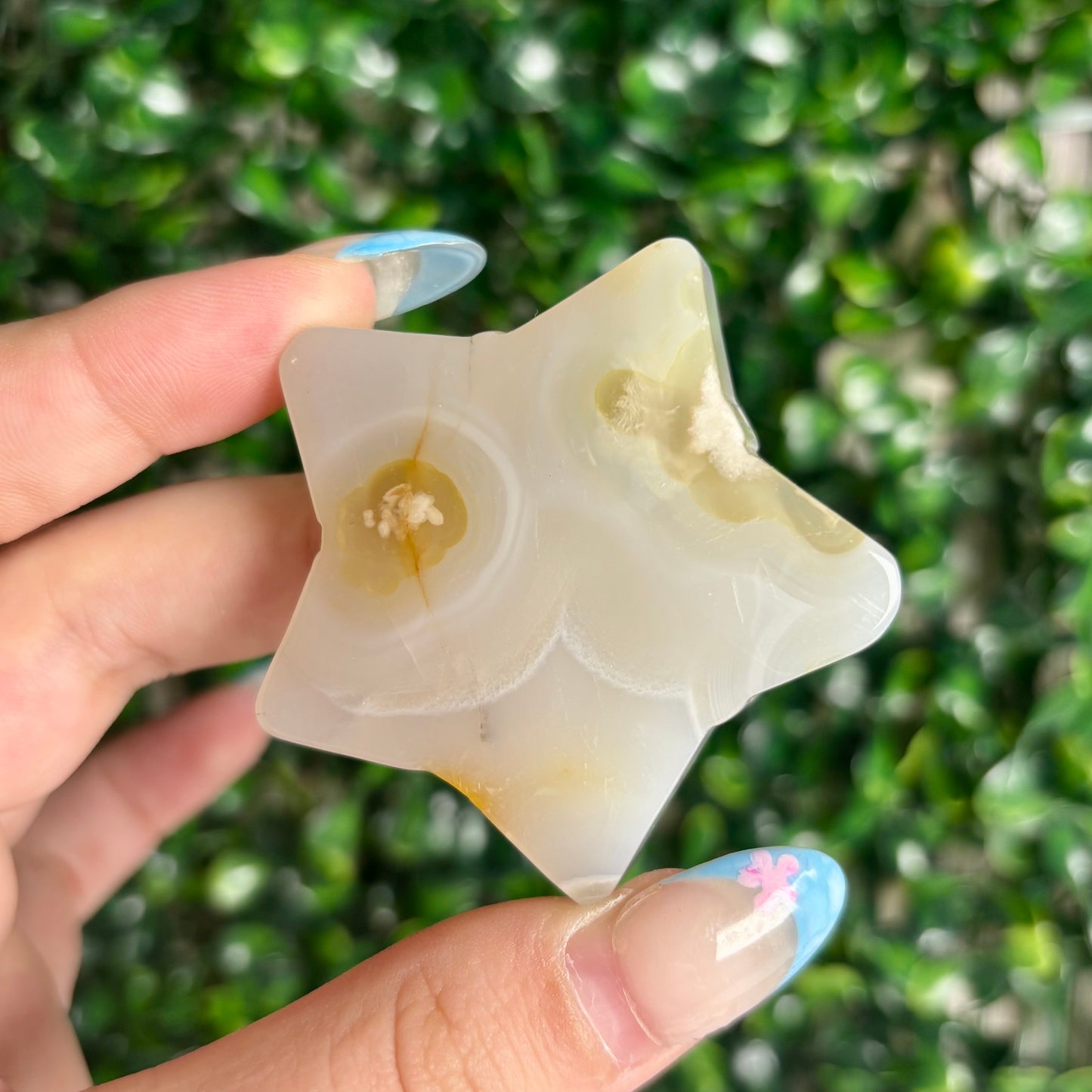 FLOWER AGATE STARS