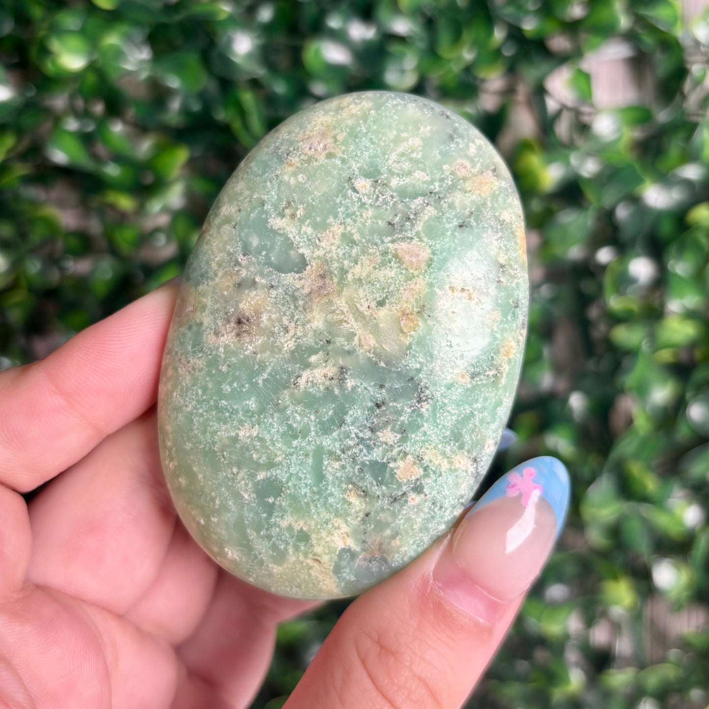 GREEN CHRYSOPASE PALMSTONES