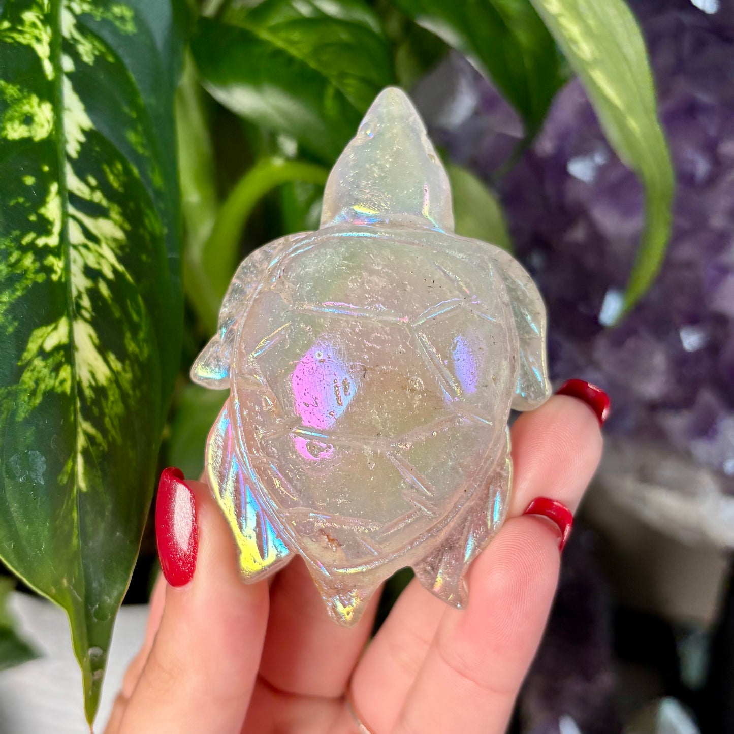 AURA QUARTZ TURTLE-22