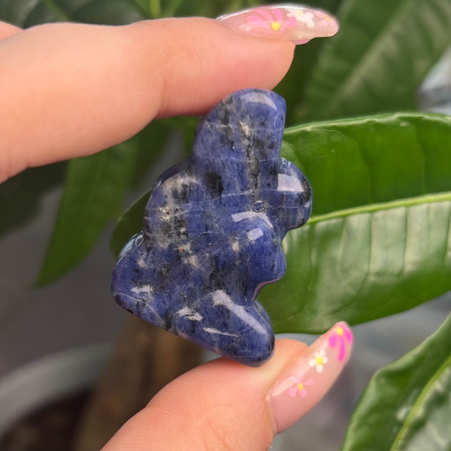 SODALITE FAIRY 🧚🏻