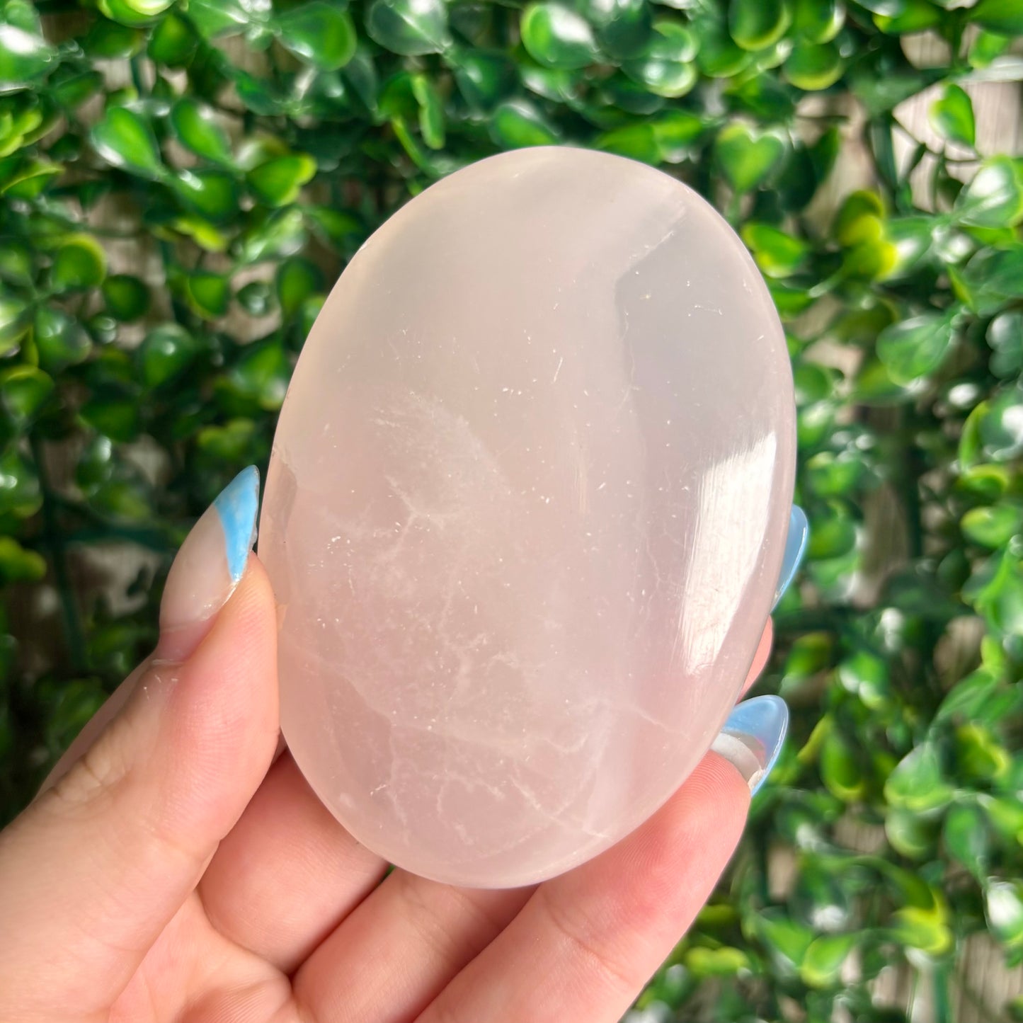 PINK MANGANO CALCITE PALMSTONES