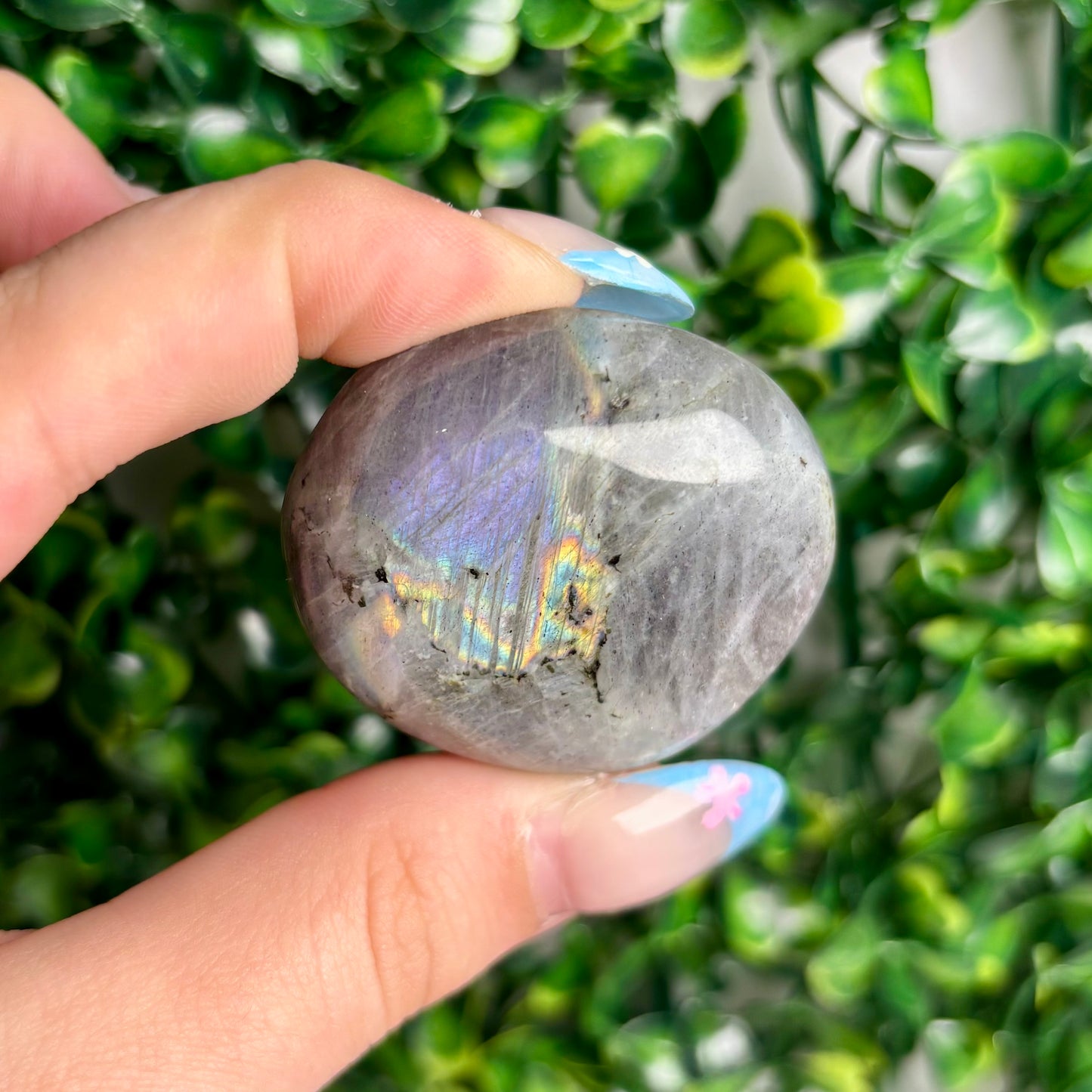 LABRADORITE PALMSTONES