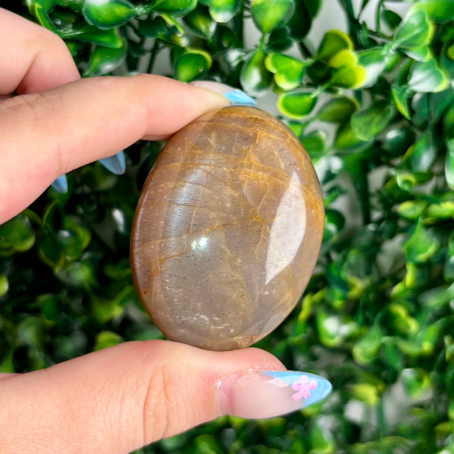 SUNSTONE/MOONSTONE PALMSTONES