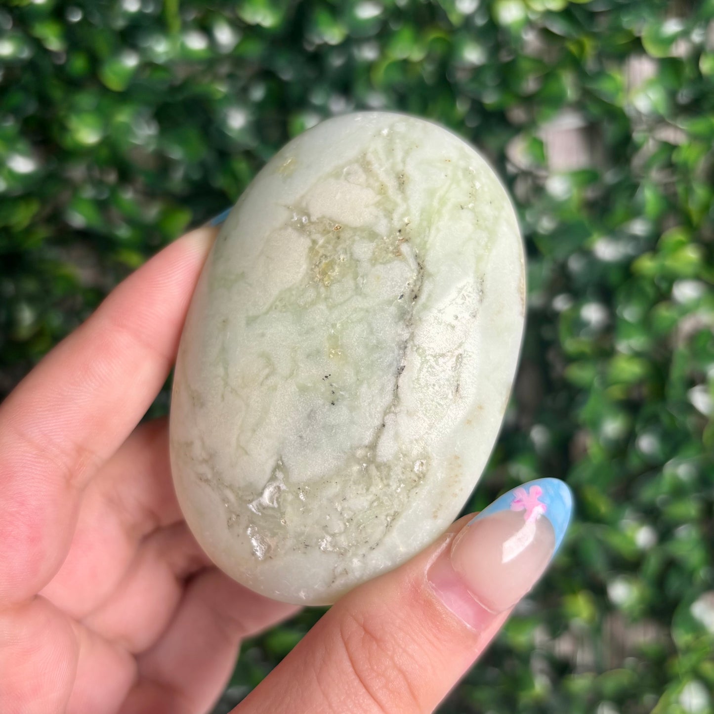 GREEN CHRYSOPASE PALMSTONES