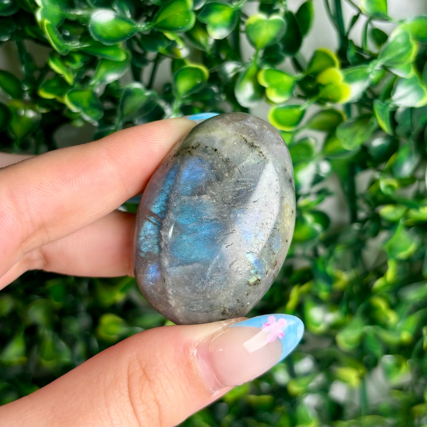 LABRADORITE PALMSTONES