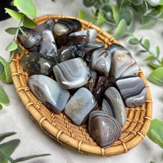 BOTSWANA AGATE TUMBLE