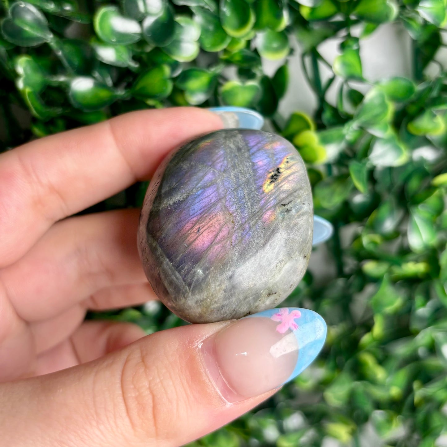LABRADORITE PALMSTONES