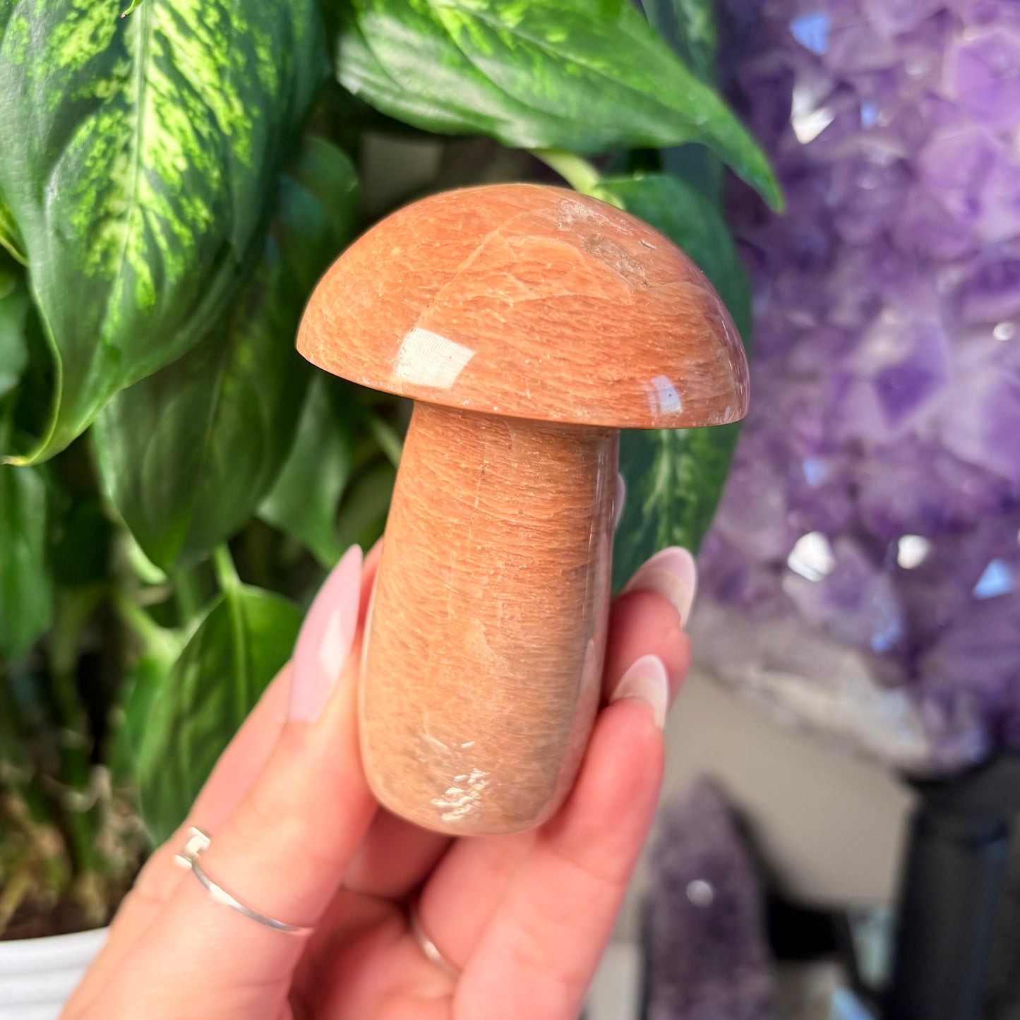 PEACH MOONSTONE MUSHROOM