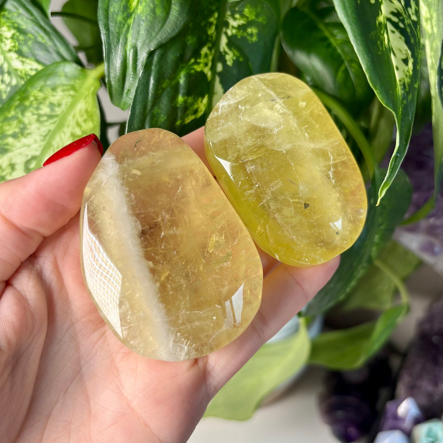 CITRINE PALMSTONES