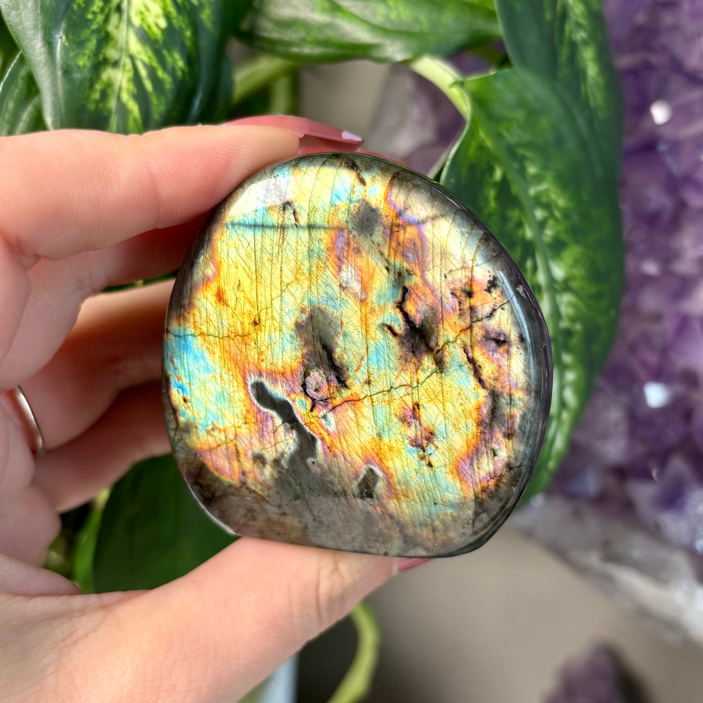 LABRADORITE FREEFORMS