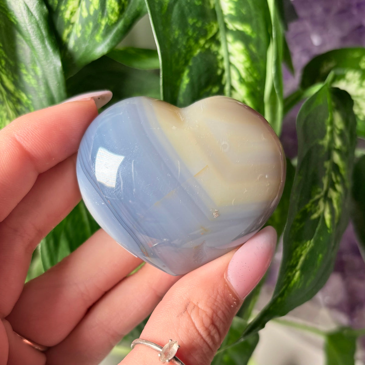 ORCA AGATE HEARTS