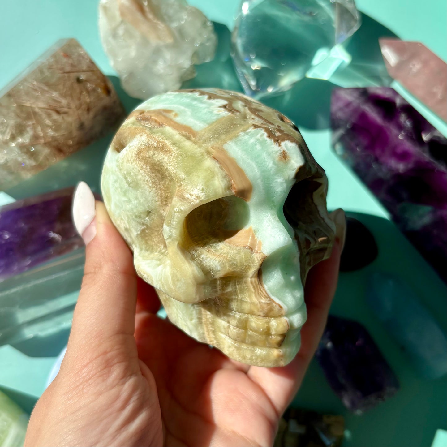CARIBBEAN CALCITE SKULLS