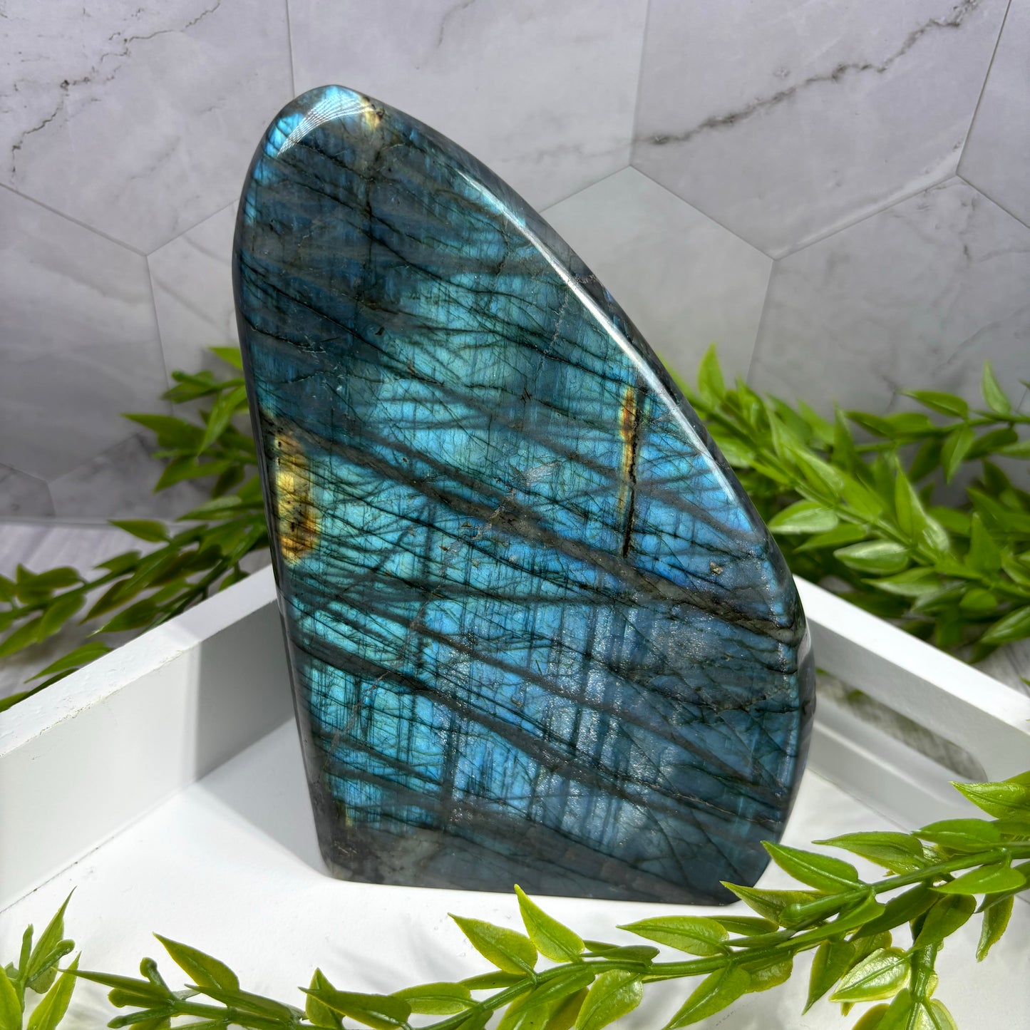 LABRADORITE FREEFORMS