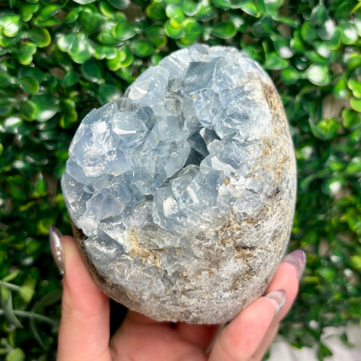 CELESTITE FREEFORMS