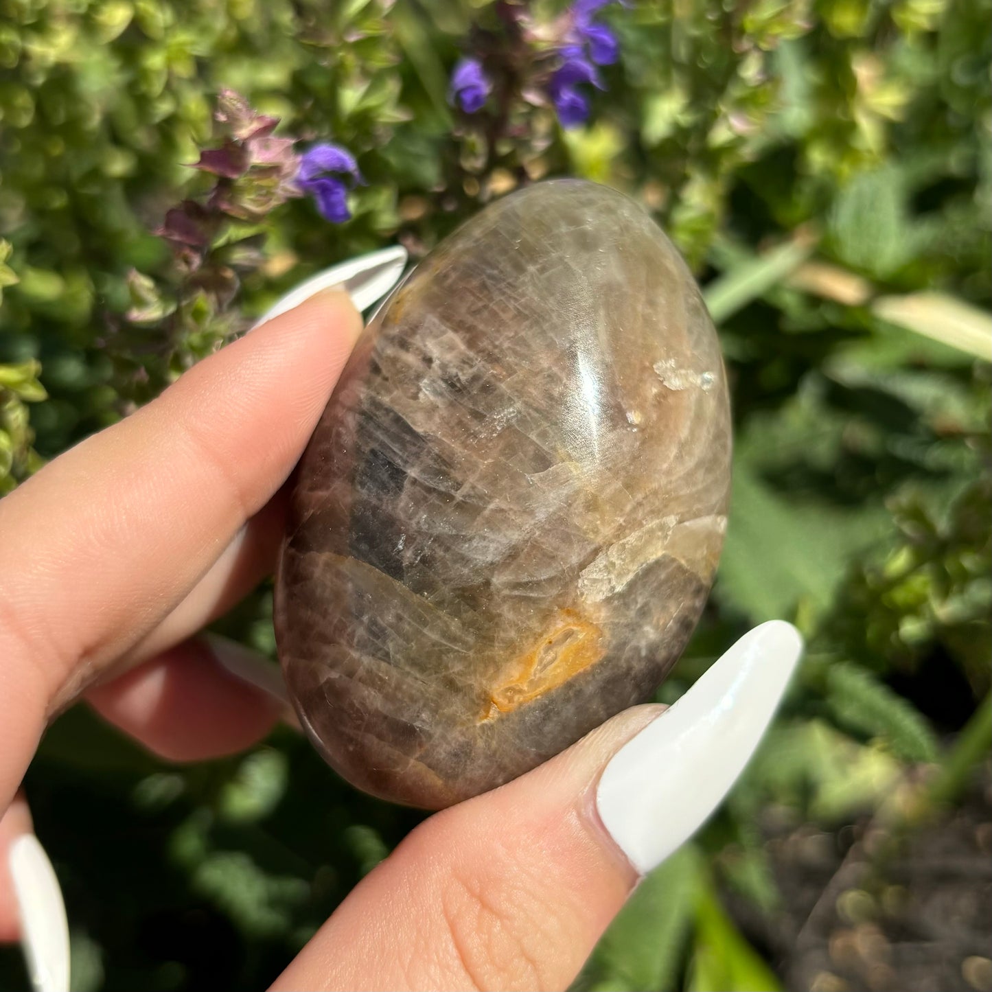 BLACK MOONSTONE PALMSTONES