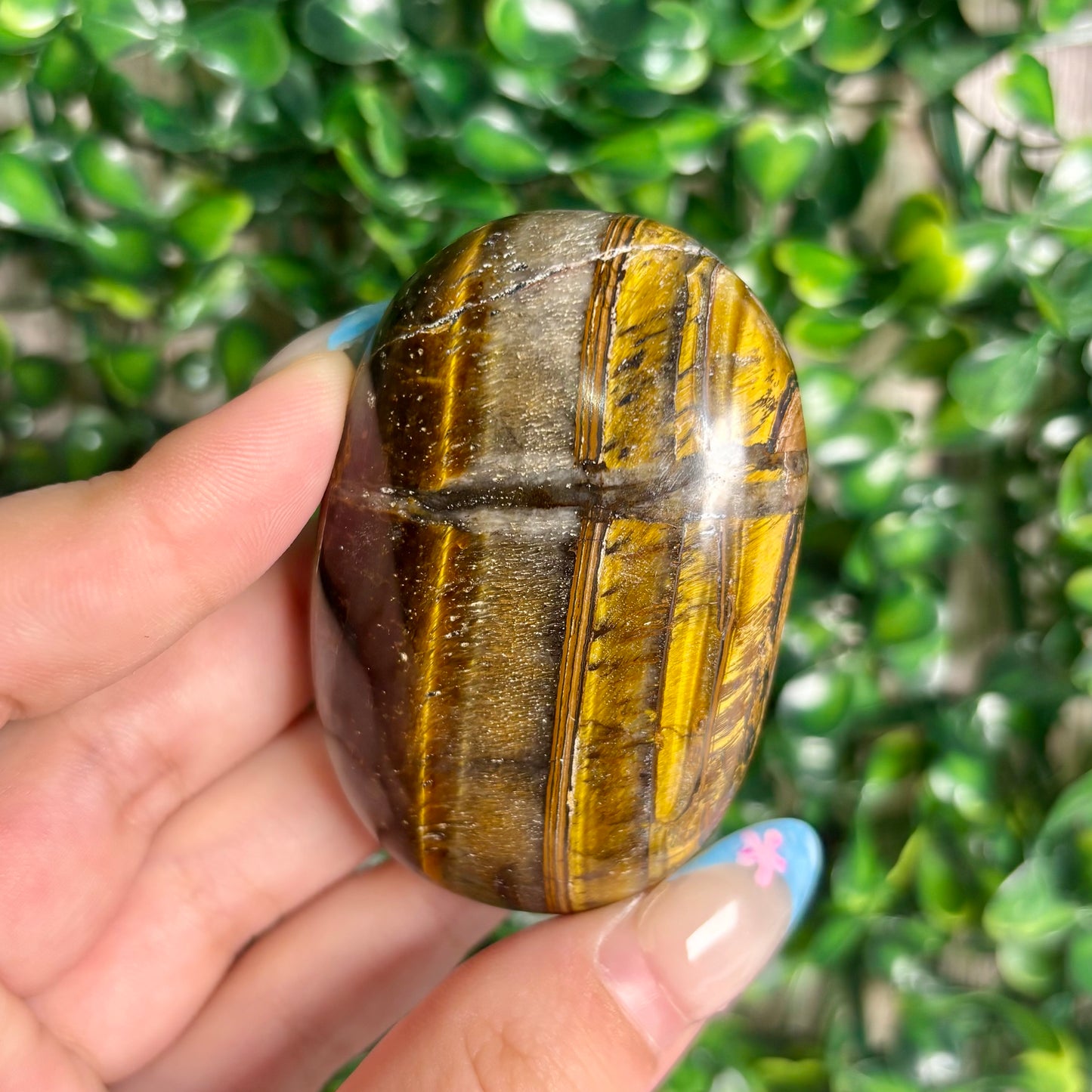 TIGERS EYE PALMSTONES