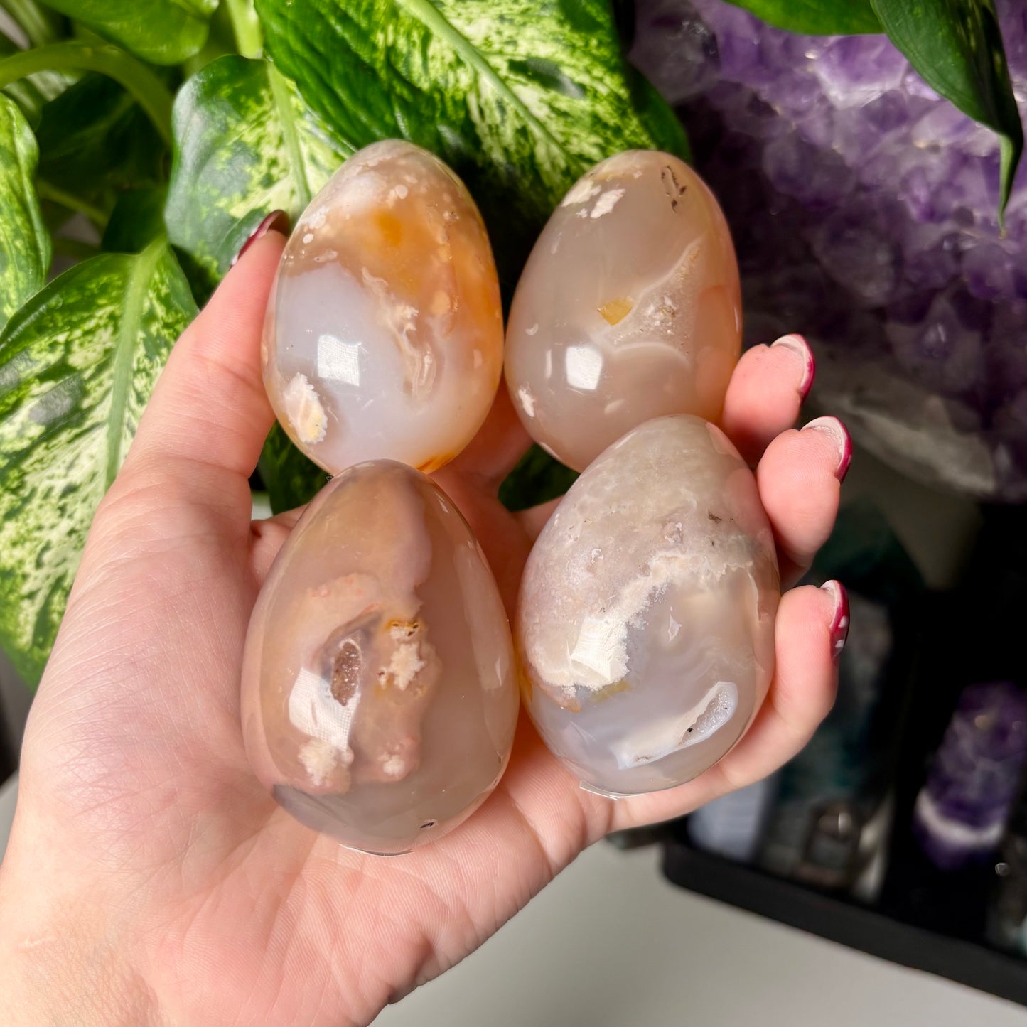 FLOWER AGATE EGGS