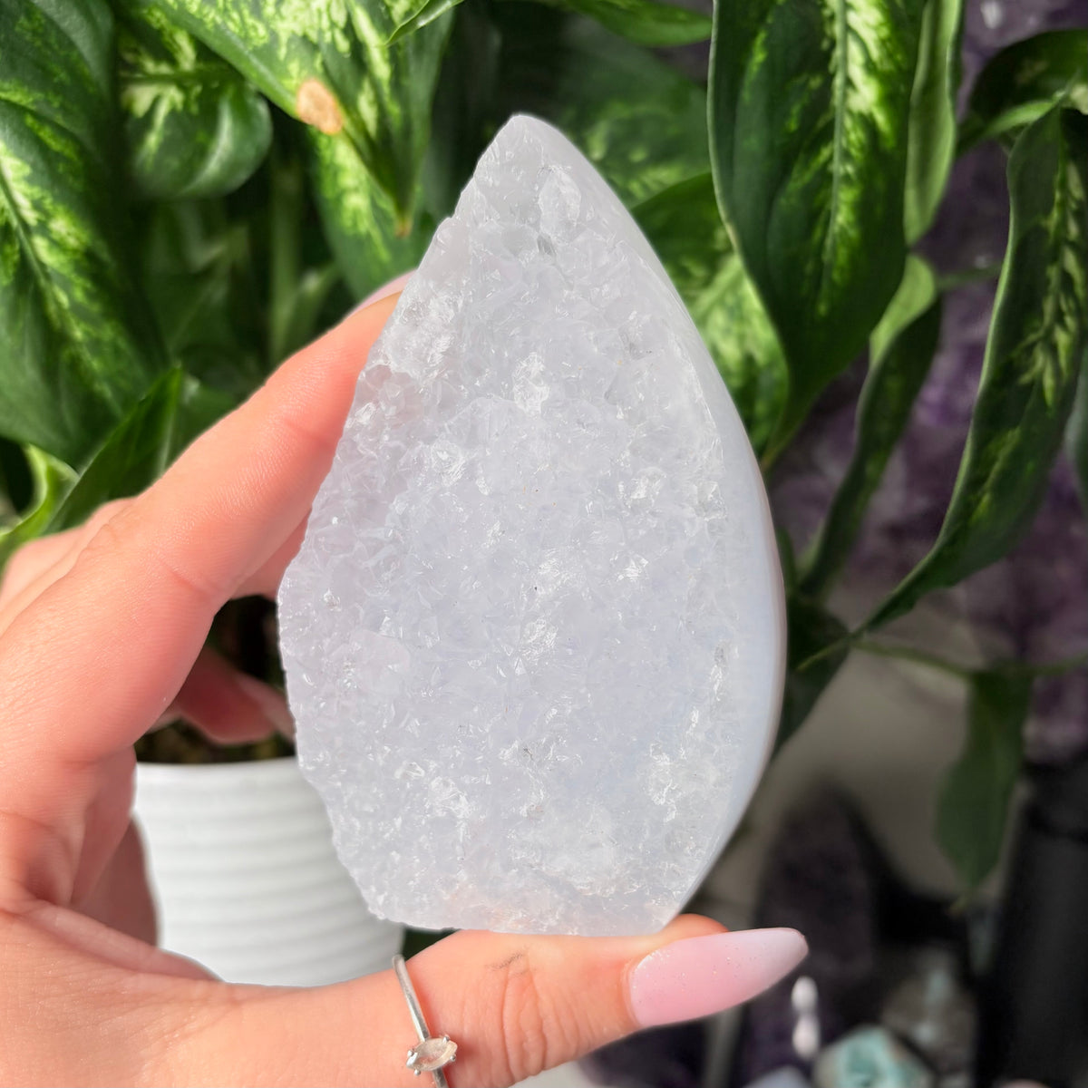 BLUE LACE AGATE FREEFORMS