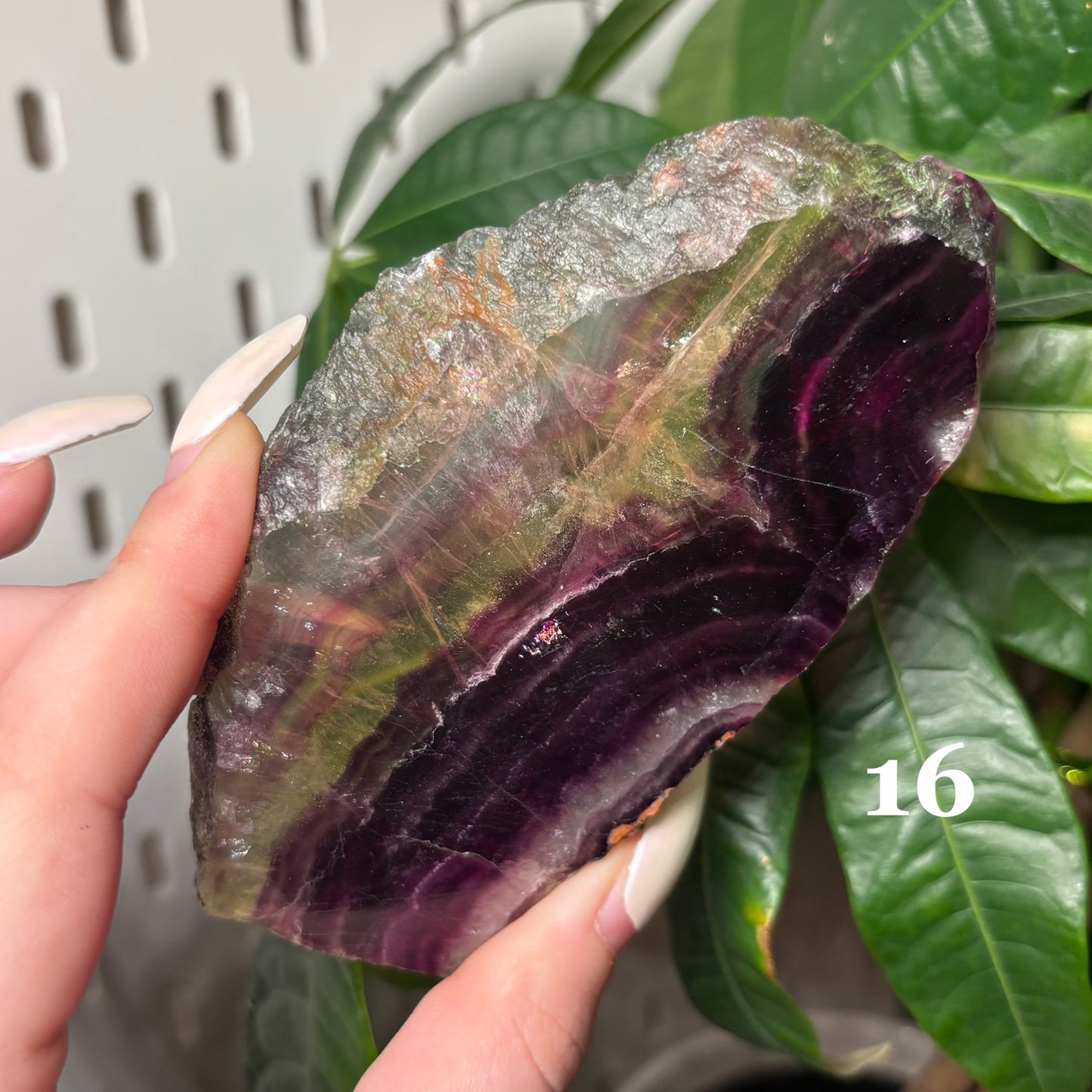 CANDY FLUORITE SLABS