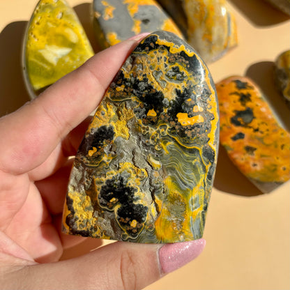 BUMBLEBEE JASPER FREEFORMS