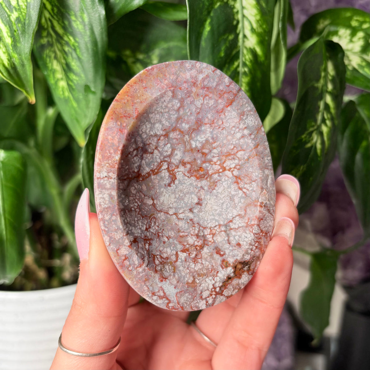 OCEAN JASPER BOWLS