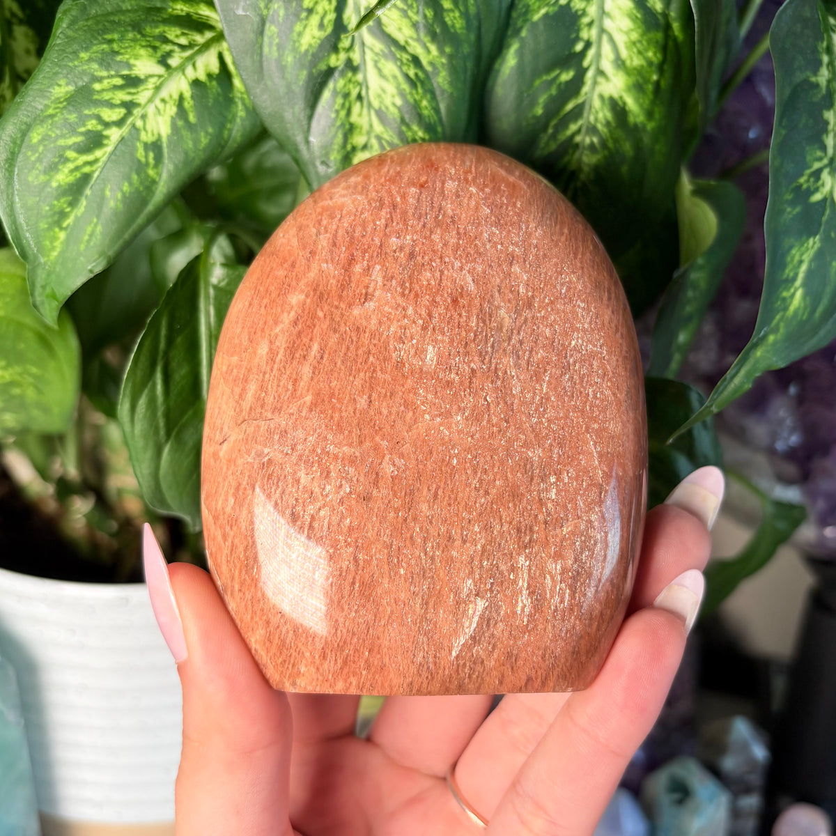 PEACH MOONSTONE FREEFORMS