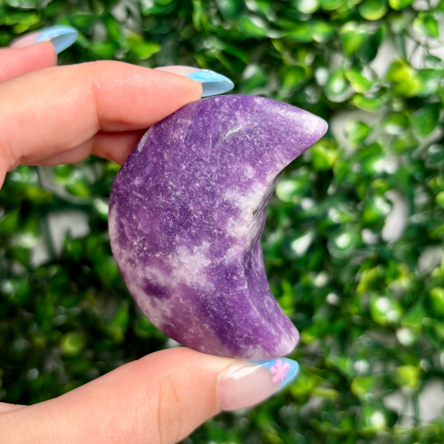 LEPIDOLITE MOONS