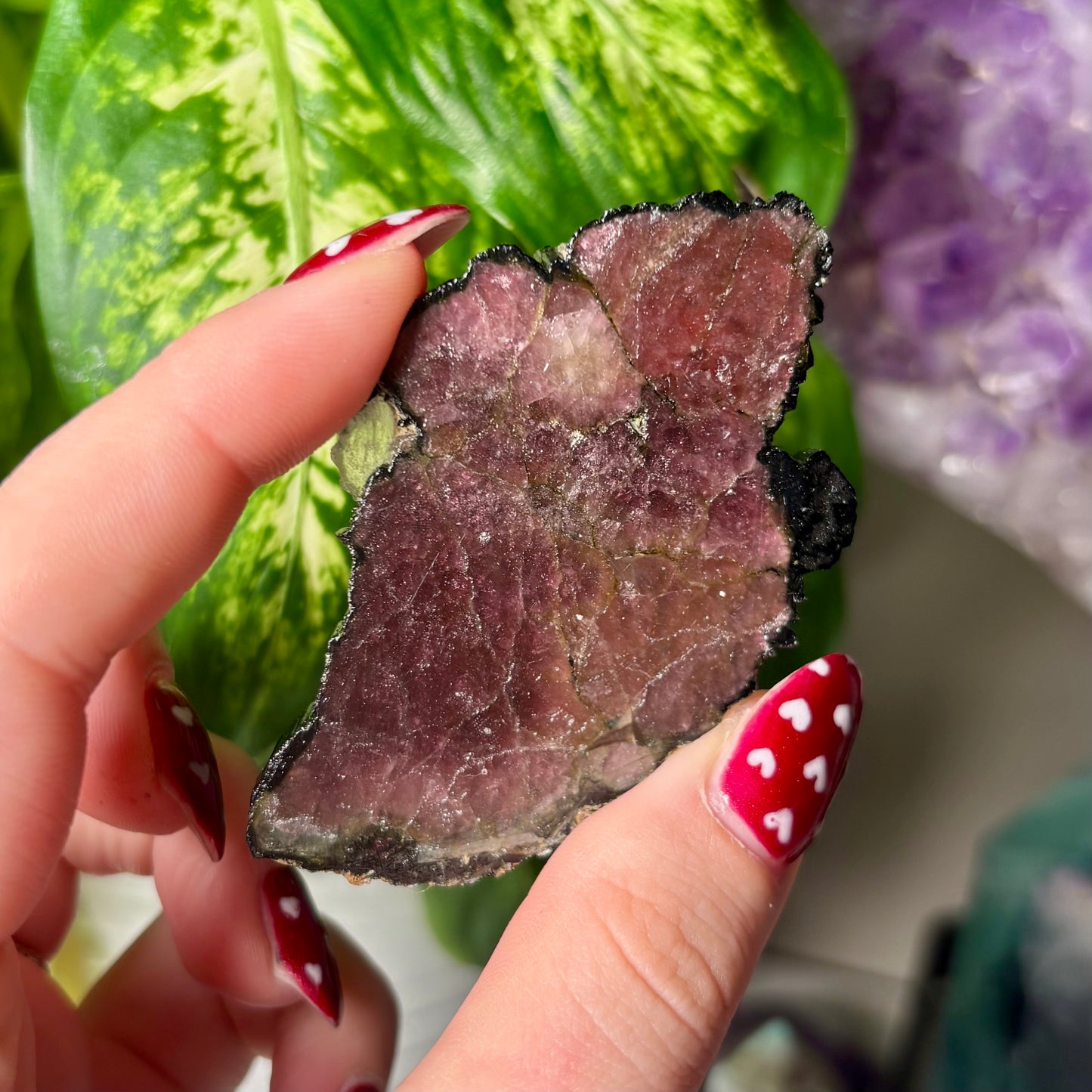 WATERMELON TOURMALINE SLICE