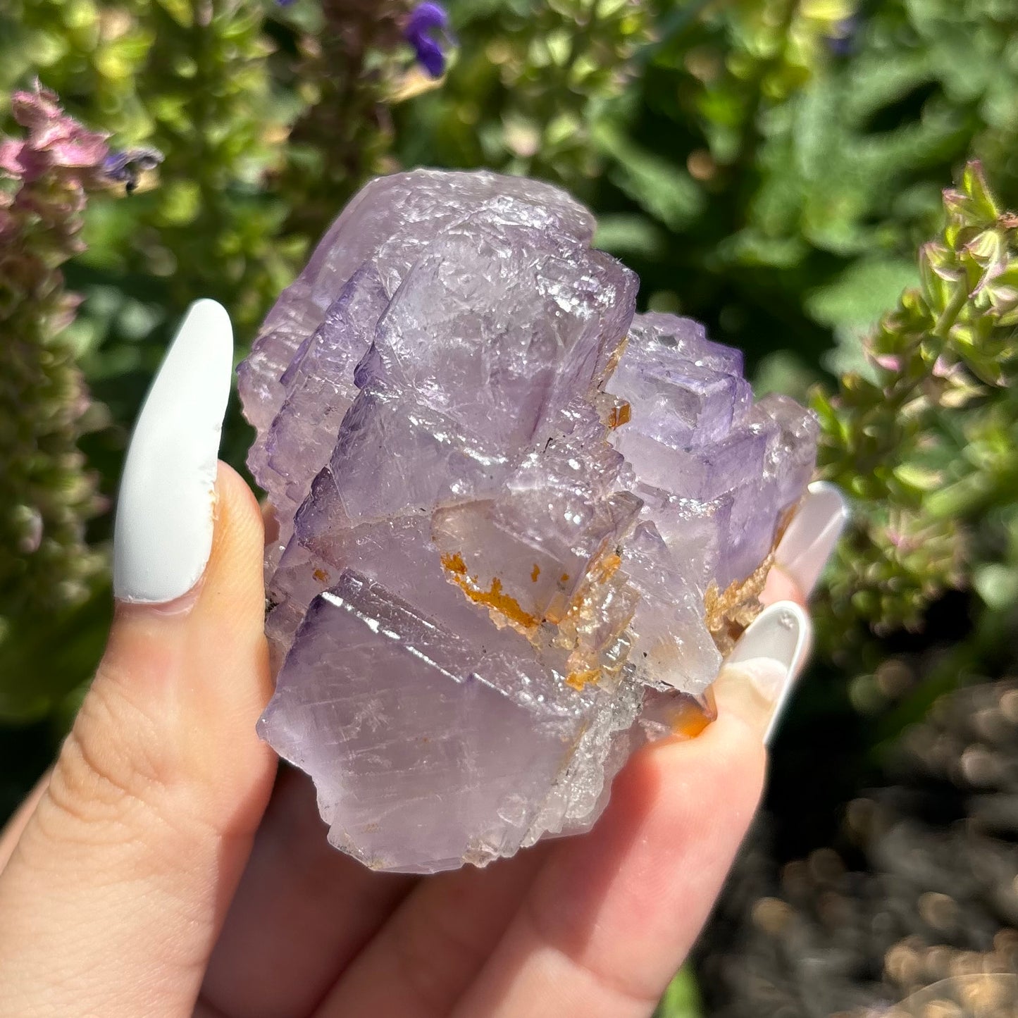 PURPLE FLUORITE (RAW)