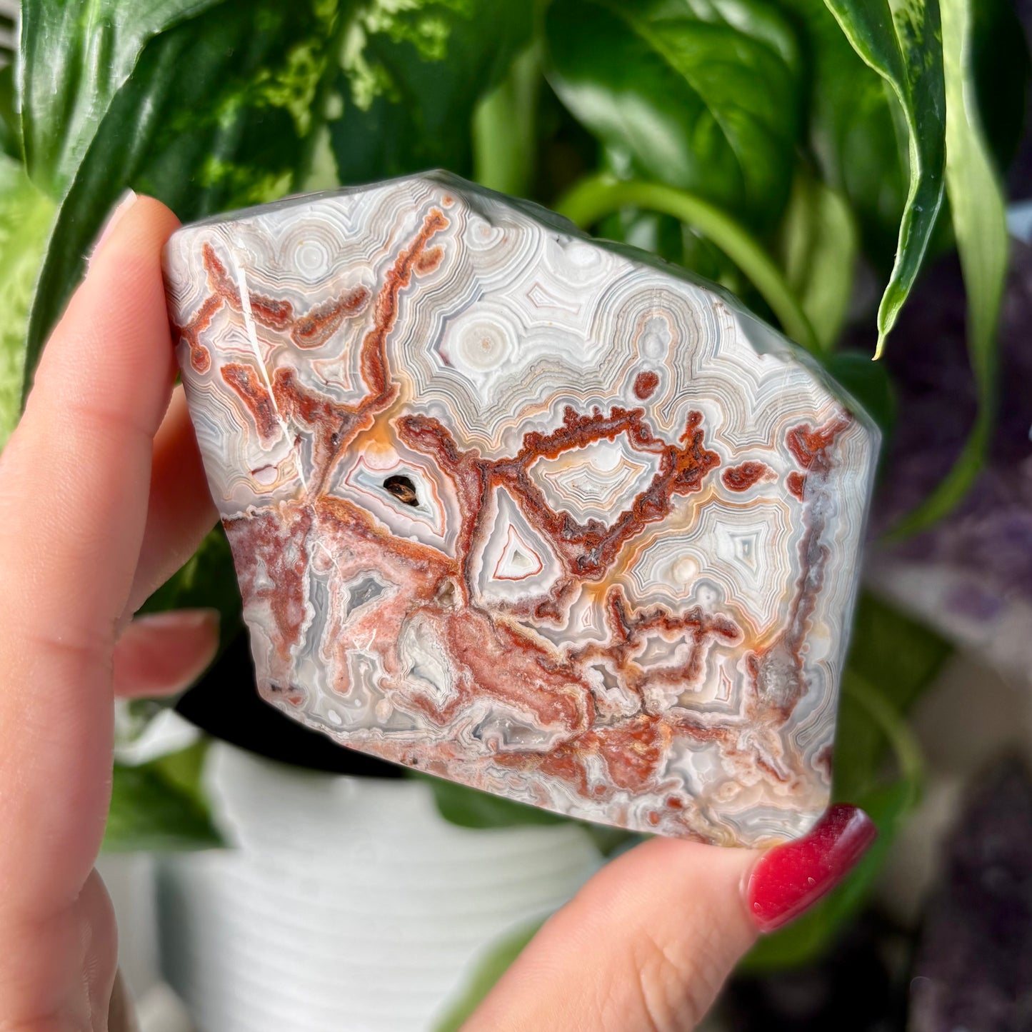 MOROCCAN AGATE FREEFORMS
