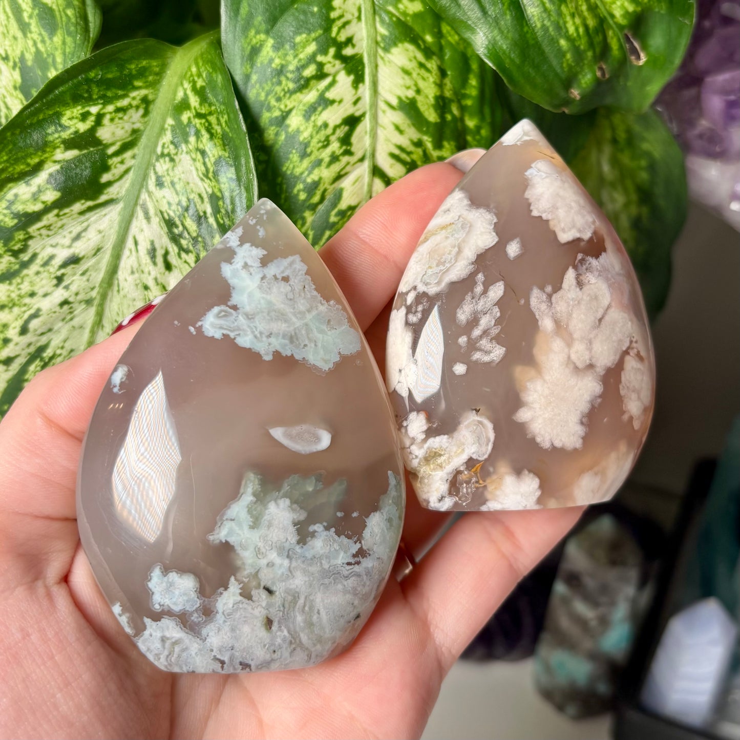 FLOWER AGATE FREEFORMS