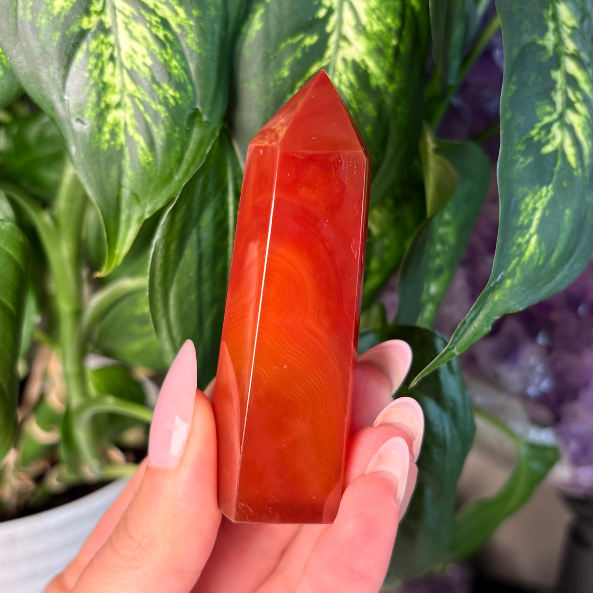 CARNELIAN TOWER - 17
