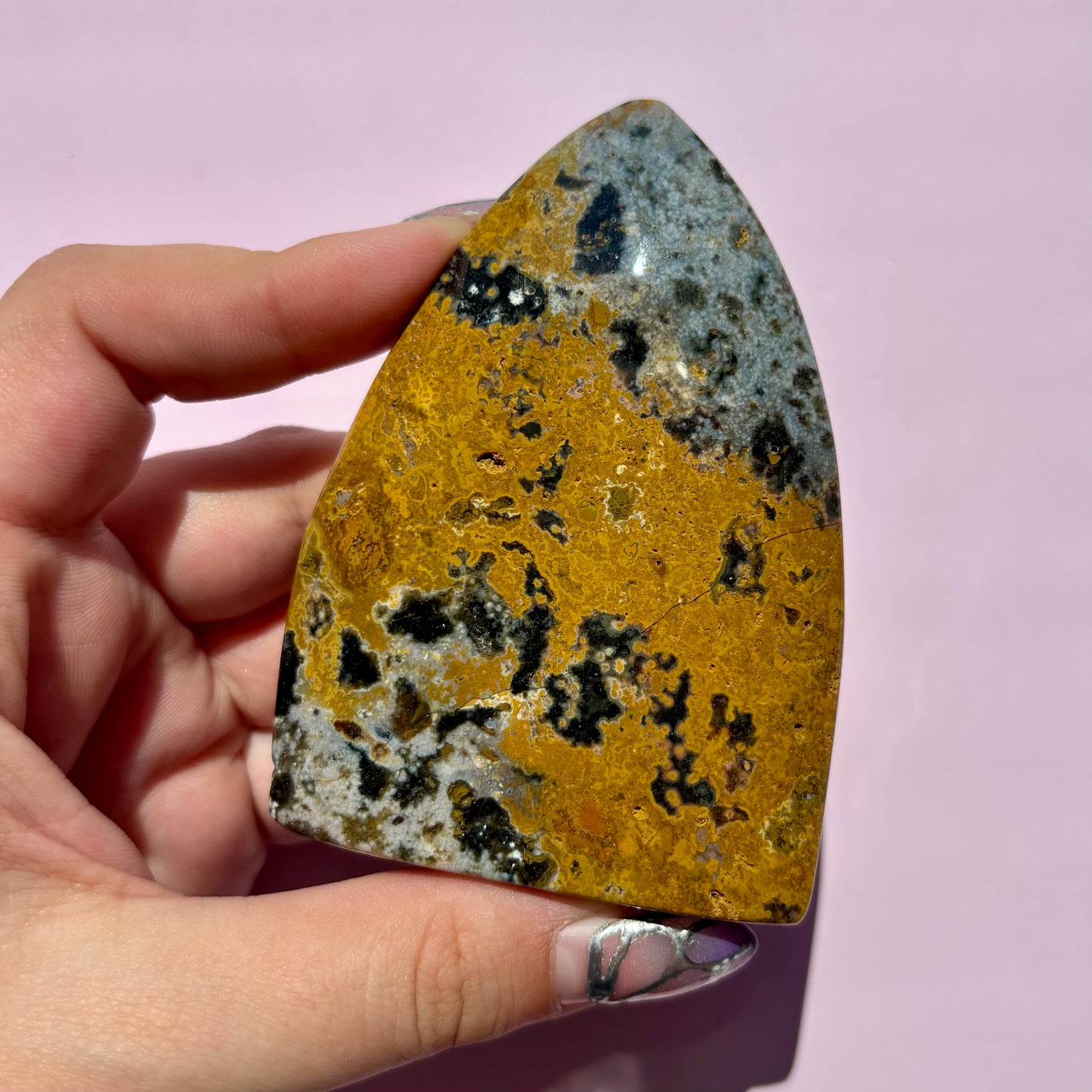 OCEAN JASPER FREEFORMS