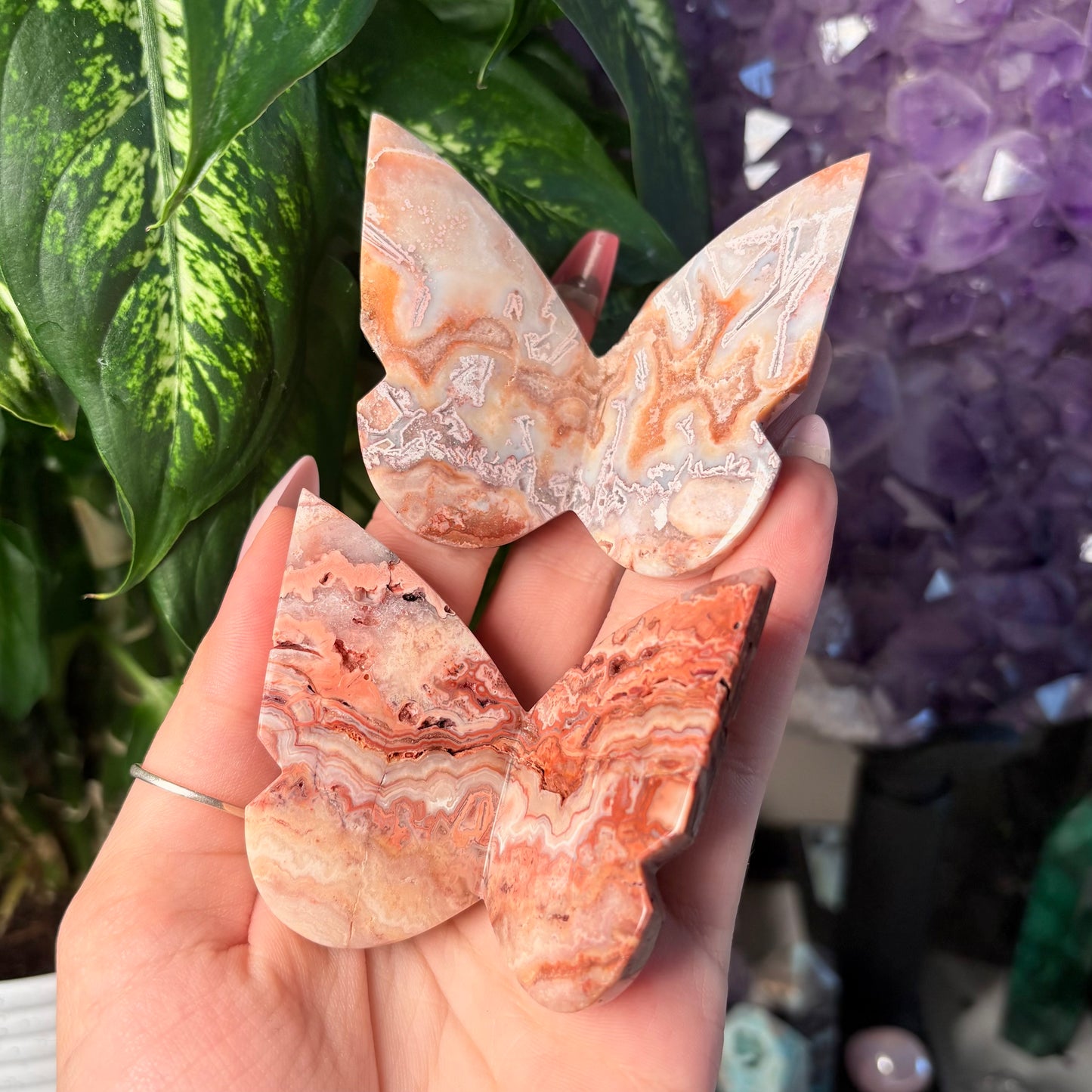 CRAZY LACE AGATE BUTTERFLY