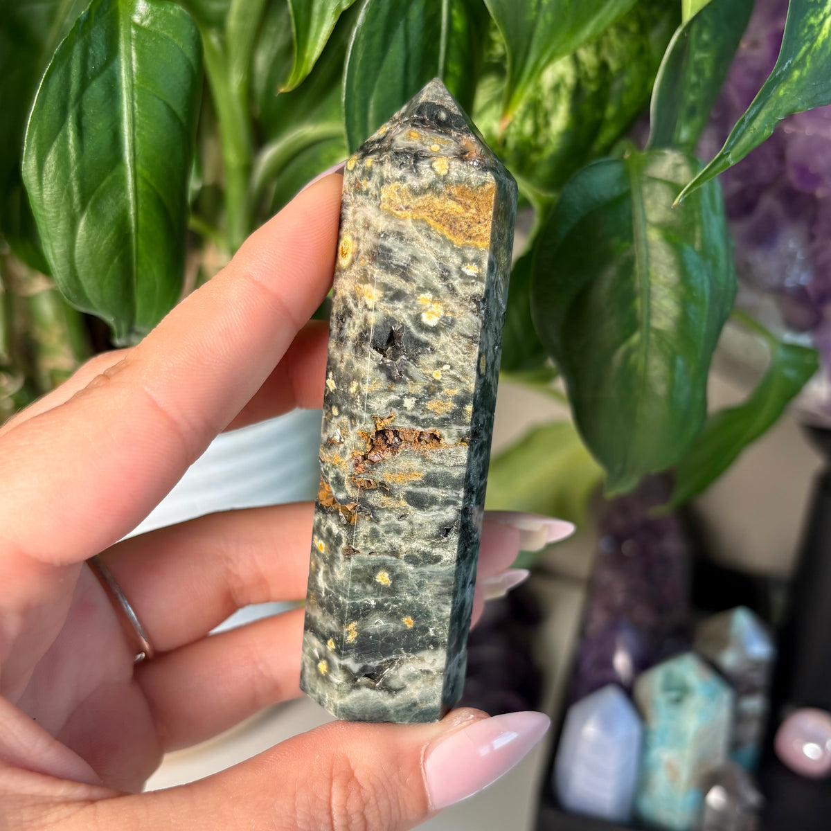 SEA JASPER TOWERS