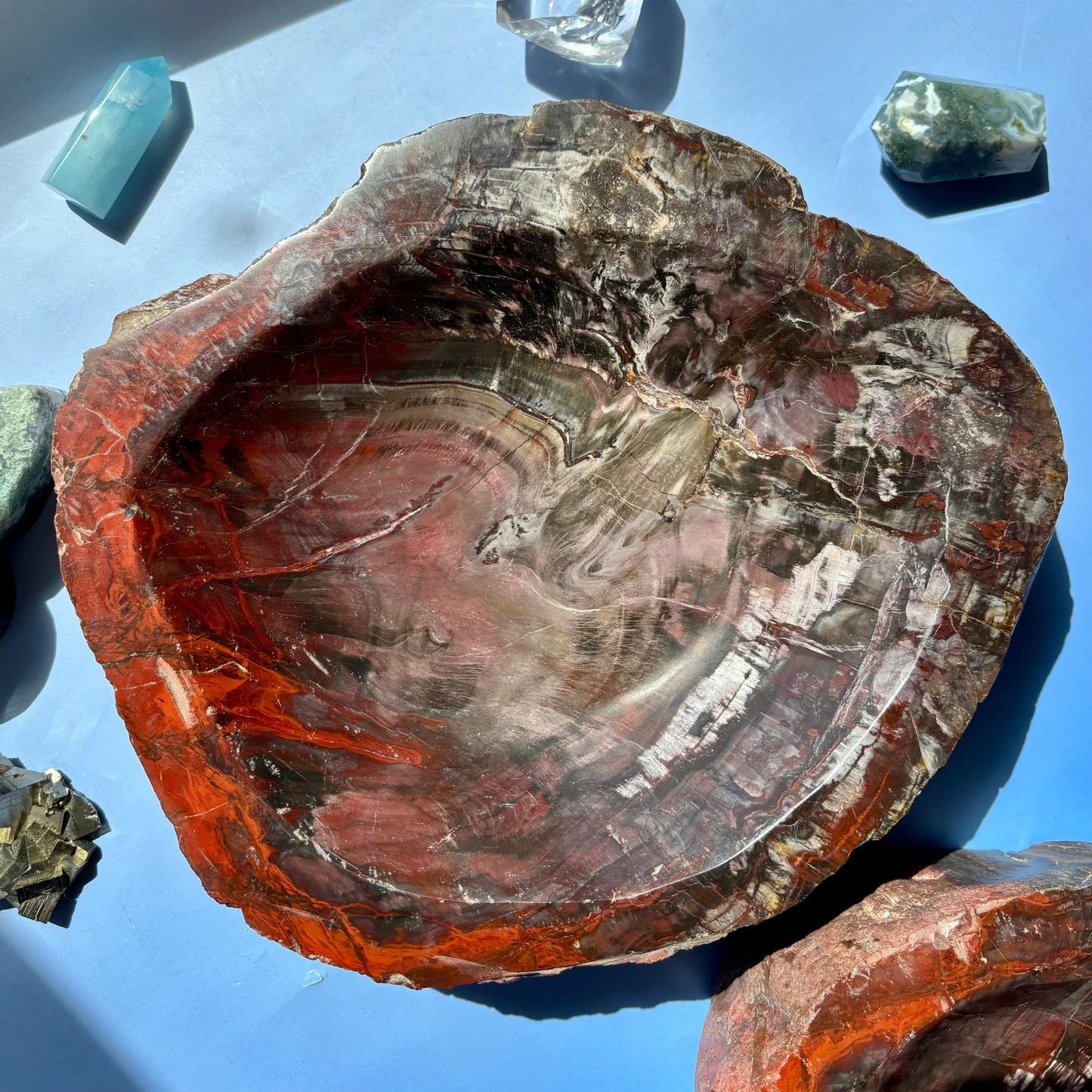 PETRIFIED WOOD BOWLS