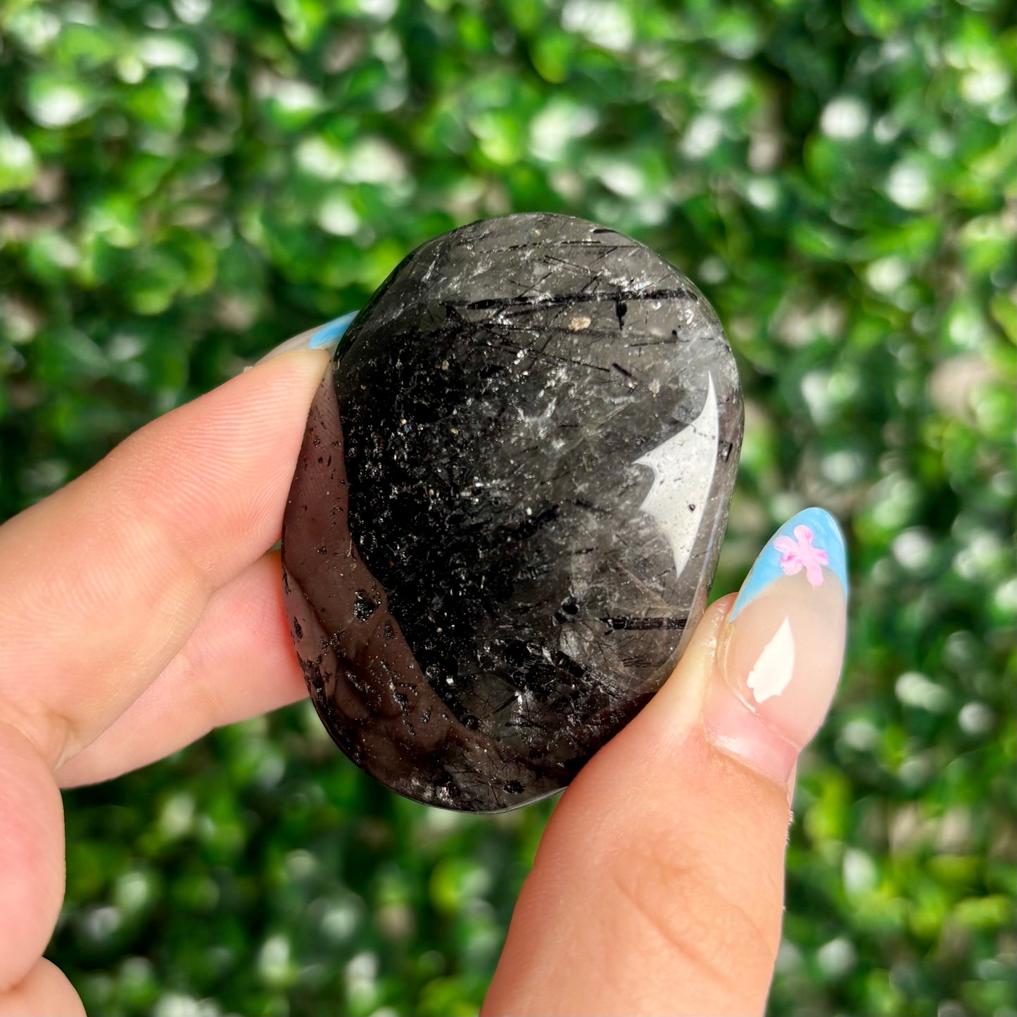 TOURMALATED QUARTZ PALMSTONES