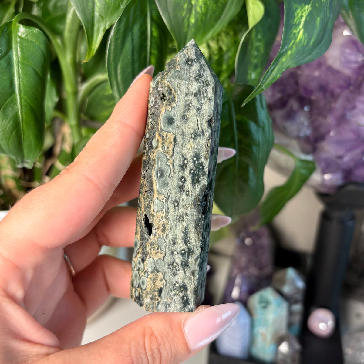 SEA JASPER TOWERS