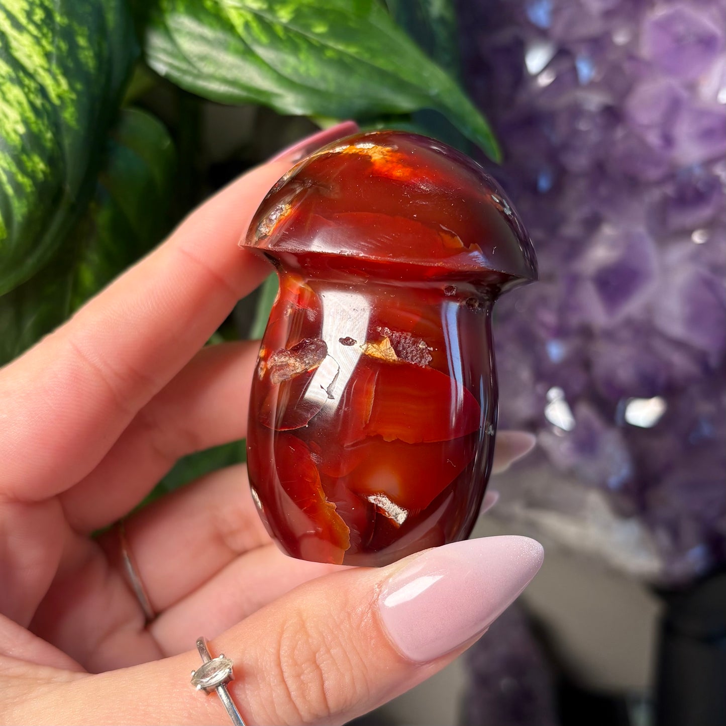 CARNELIAN MUSHROOM