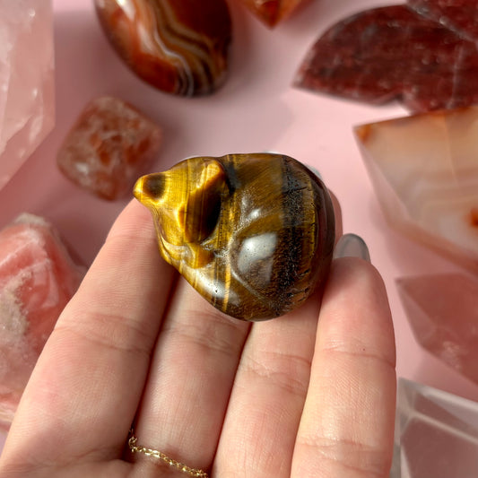 TIGERS EYE CAT